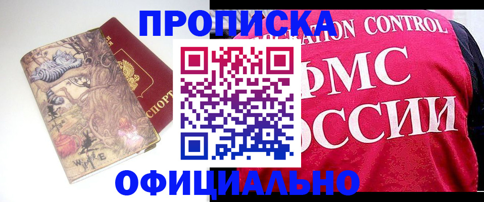 прописка в квартире в Ковылкино